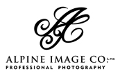 Alpine Image Company